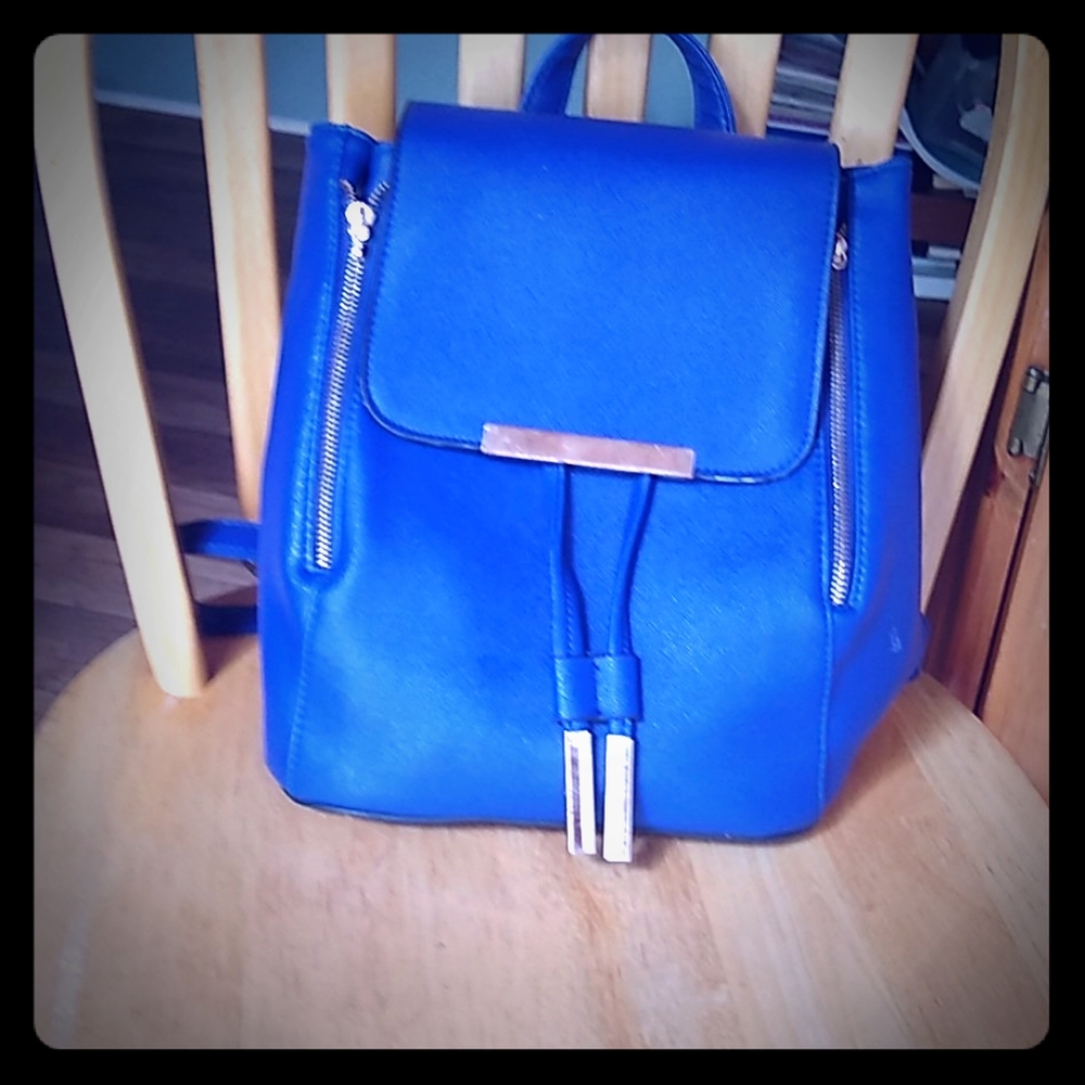 backpack / purse